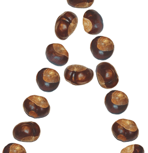 Kasztanowe samogłoski