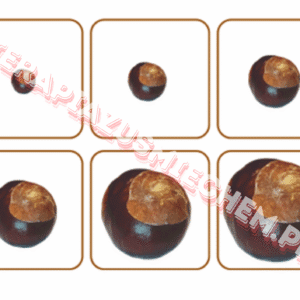 Szeregi lewopółkulowe-jesień